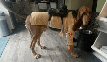 a brown dog wearing a costume with a saddle and a badge that says ' ghostbusters ' on it