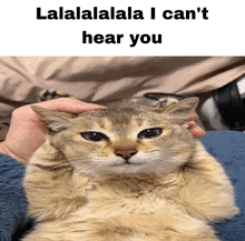 a person petting a cat with the words " lalalalala i can 't hear you " on the bottom