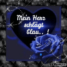 a blue rose is sitting in front of a blue heart with the words `` mein herz schlägt blau ! ''