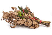 a bunch of dried leaves and berries with a red ribbon around it