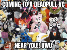 a bunch of stuffed animals with the words " coming to a deadpull vc near you ! uwu "