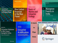 a collage of springer books including basics of marine and estuarine ecology and mangrove forests in india