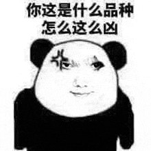 a panda bear with chinese writing on its face is making a funny face .