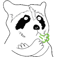 a black and white drawing of a raccoon chewing on a green leaf .