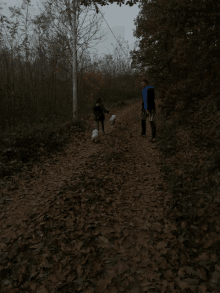 a man in a blue jacket is walking two dogs on a dirt path