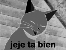 a black and white photo of a cat with the words jeje ta bien written below it