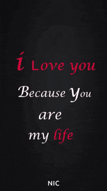 a black background with the words i love you because you are my life on it