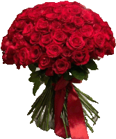 a large bouquet of red roses with a red ribbon tied around them