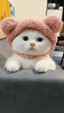 Kitty Pinksnoodie GIF