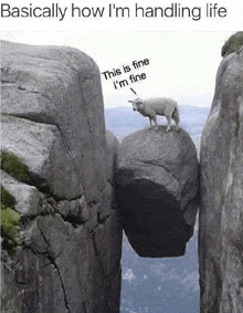 a sheep is standing on top of a large rock between two cliffs .