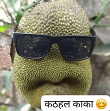 a picture of a fruit wearing sunglasses with a smiley face