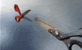 a pair of scissors cutting a red object with a blue background