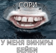 a picture of a smiling shark in the water with a caption in russian