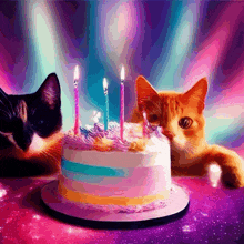 two cats looking at a birthday cake with candles on it