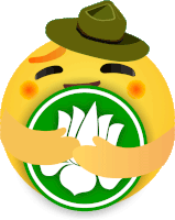 a yellow smiley face wearing a green hat holds a green circle