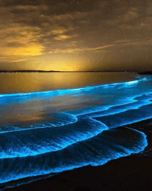 a beach at night with waves glowing blue