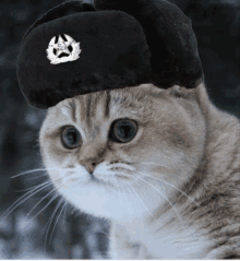 a cat is wearing a black hat with a badge on it