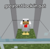 a picture of a greatest lock in oat in a minecraft game .