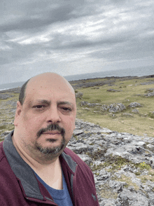 a bald man with a beard is standing in front of a rocky landscape