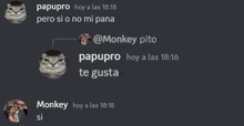 a screenshot of a chat with monkey and papupro