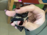 a woman is holding a bat in her hand