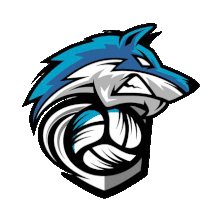 a blue and white wolf mascot with a volleyball in its mouth