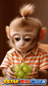 a monkey is holding a bowl of grapes with a star tamilchat.in logo in the background