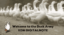 a welcome to the duck army xdn digitalnote ad