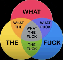 a diagram of what the fuck and what the fuck in circles