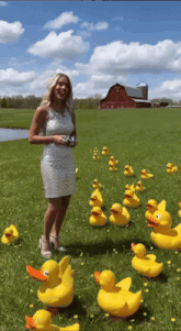 a woman in a white dress stands in a field surrounded by rubber ducks with a red barn in the background