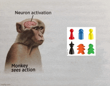 a picture of a monkey with the words " neuron activation monkey sees action " below it