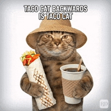 a cat in a straw hat is holding a burrito and a cup of coffee with the caption taco cat backwards is taco cat