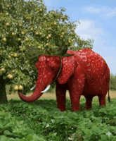 a red elephant that looks like a strawberry has a banana on its head