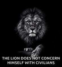 a black and white photo of a lion with a caption that says " the lion does not concern himself with civilians "