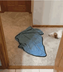 a dog is laying on a carpet next to a blue towel