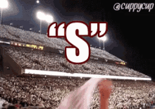 a stadium full of people with the word " s " above them