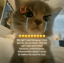 a cat with tears coming out of its eyes and a caption that says me right now because i miss you so