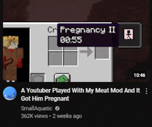 a screenshot of a youtuber playing with a meat mod that got him pregnant