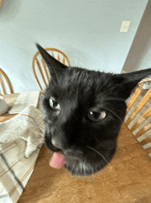 a black cat is sticking its tongue out at the camera