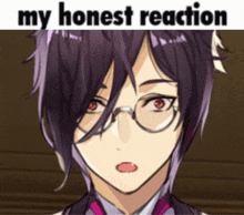 a purple haired anime character with glasses and the words my honest reaction