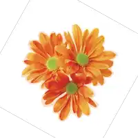 three orange daisies with a green center are against a white background