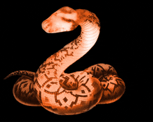 a snake that looks like the number 2