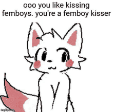 Femboy Meme