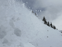 a snowy slope with trees on the side