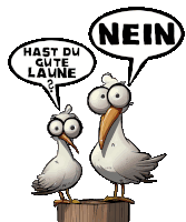 a cartoon of two seagulls talking to each other with a speech bubble that says nein