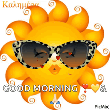 a cartoon sun wearing sunglasses says good morning in greek