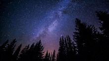 a starry night sky with a few trees in the foreground