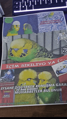 a newspaper with a picture of two birds and the words " içim sikiliyo ya "