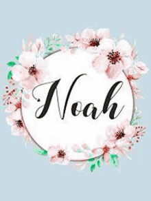 the name noah is surrounded by pink flowers and green leaves .