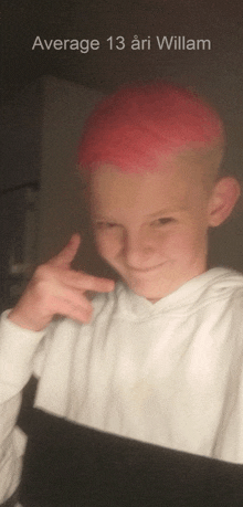 a young boy with pink hair has the name average 13 ari willam written above him